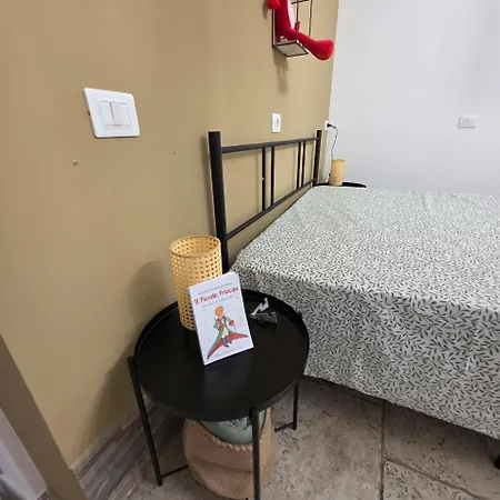 B612 Rosa Volpe Aviatore 3*